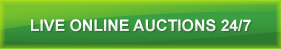 Auctions