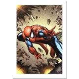 artist Stan Lee-art