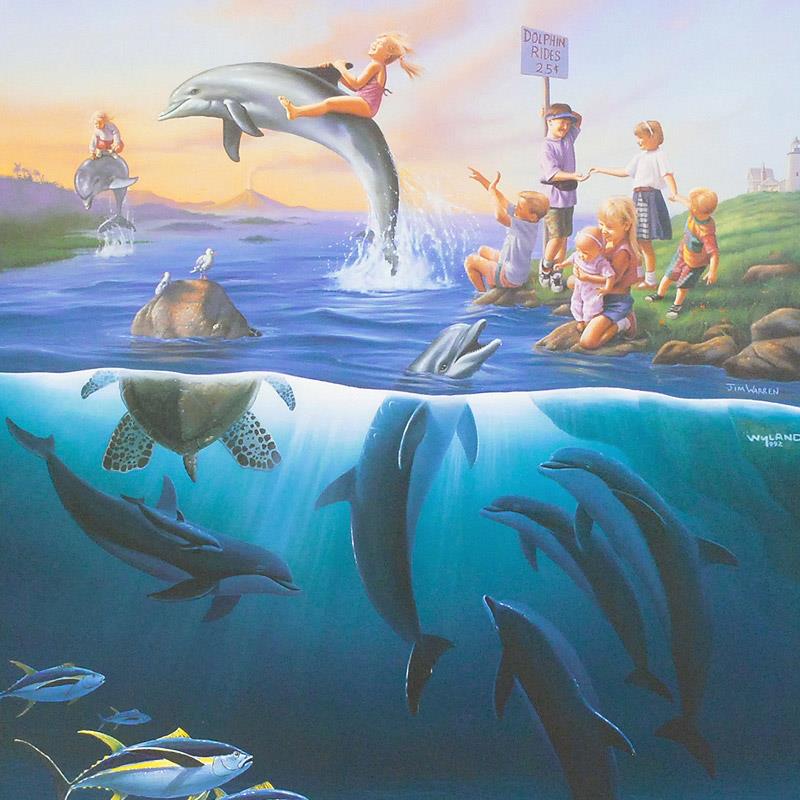 Dolphin Rides