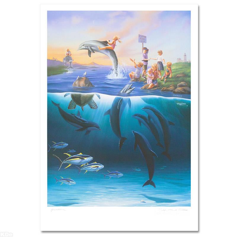 Dolphin Rides