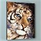 artist Stephen Fishwick-art