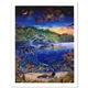 artist Robert Lyn Nelson-art