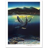 artist Robert Lyn Nelson-art