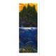 artist Robert Lyn Nelson-art