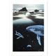 artist William Schimmel-art