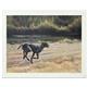 artist William Nelson-art