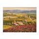 artist S. Sam Park-art