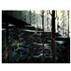 artist Eyvind Earle-art
