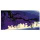 artist Eyvind Earle-art