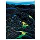 artist Eyvind Earle-art