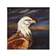 artist Martin Katon-art
