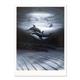 artist Wyland-art