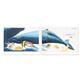artist Wyland-art