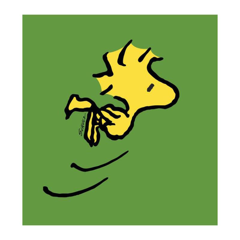トムエバハート　ウッドストック TOM EVERHART Hitched Woodstock married Happy Cartoon Birds