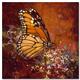 artist Simon Bull-art