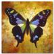 artist Simon Bull-art
