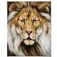 artist Martin Katon-art