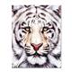 artist Martin Katon-art