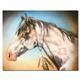 artist Martin Katon-art