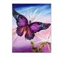 artist Martin Katon-art