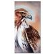 artist Martin Katon-art