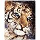 artist Stephen Fishwick-art