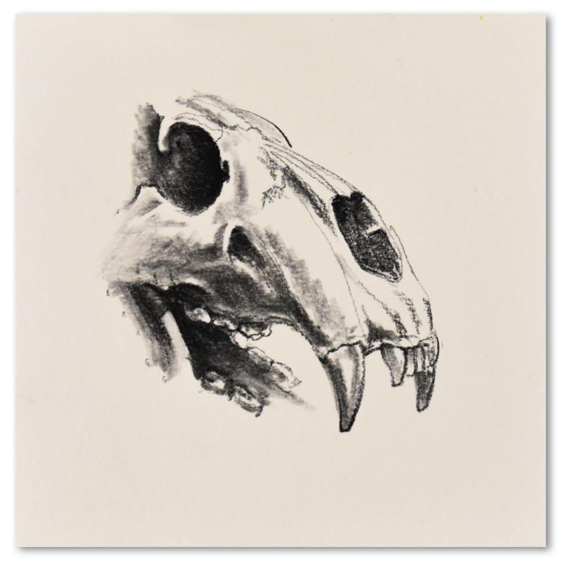 Polar Bear Skull" - Charles Lynn Bragg Gallery - 250539 | Qart.com