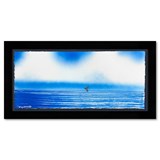 artist  Wyland-art