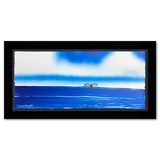 artist  Wyland-art