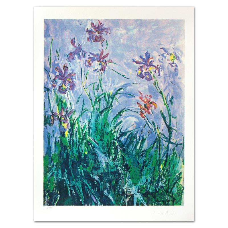 Iris