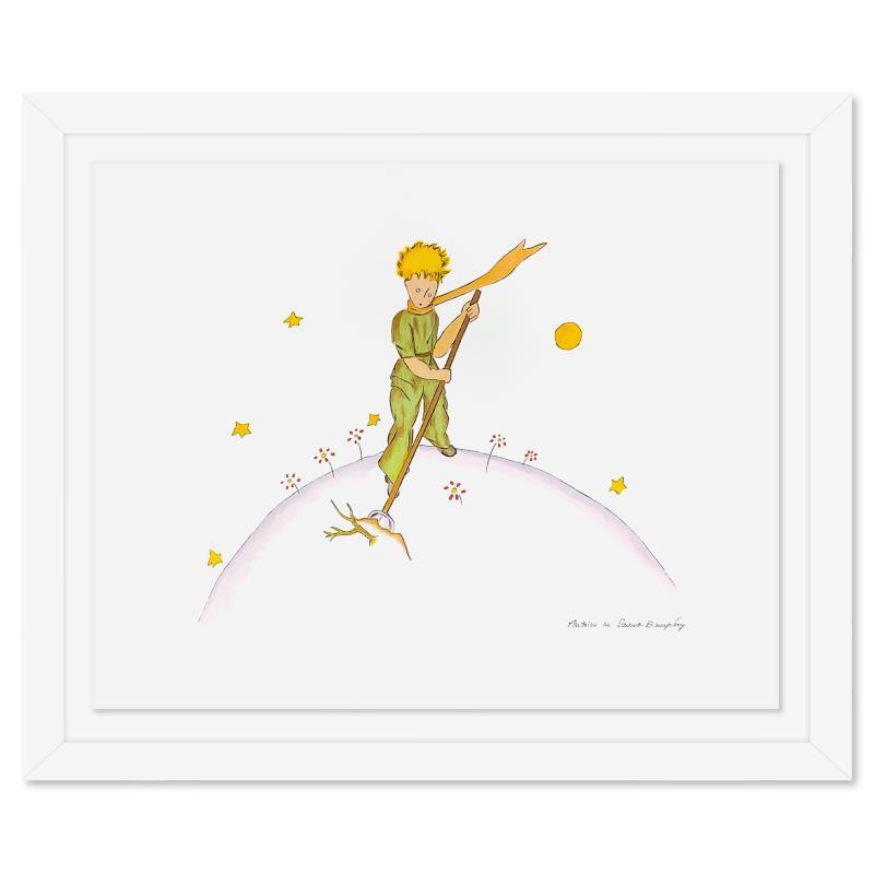 The Little Prince On His Planet