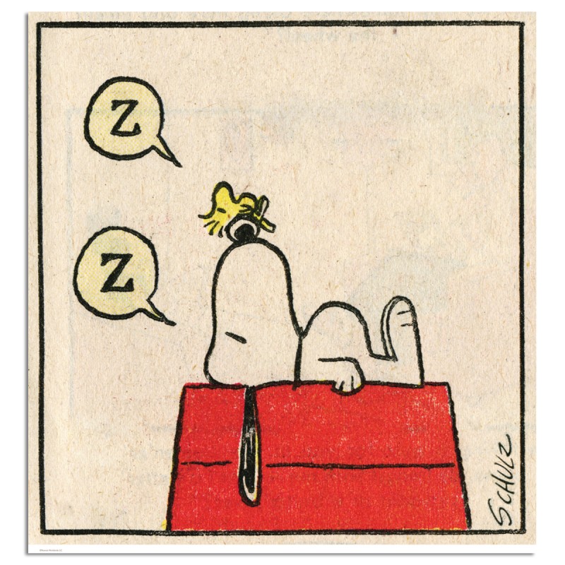 Zz