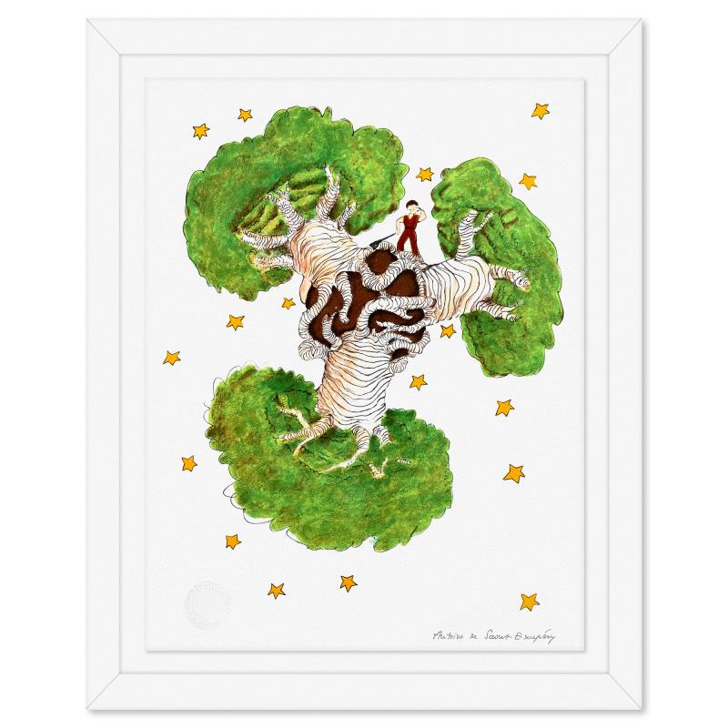 es Feher イラスト Saint-Exupéry 全集全3巻揃い The Little Prince And The Baobabs